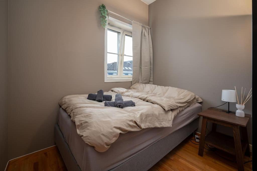 Studio Apt In City Centre Trondheim Exterior foto